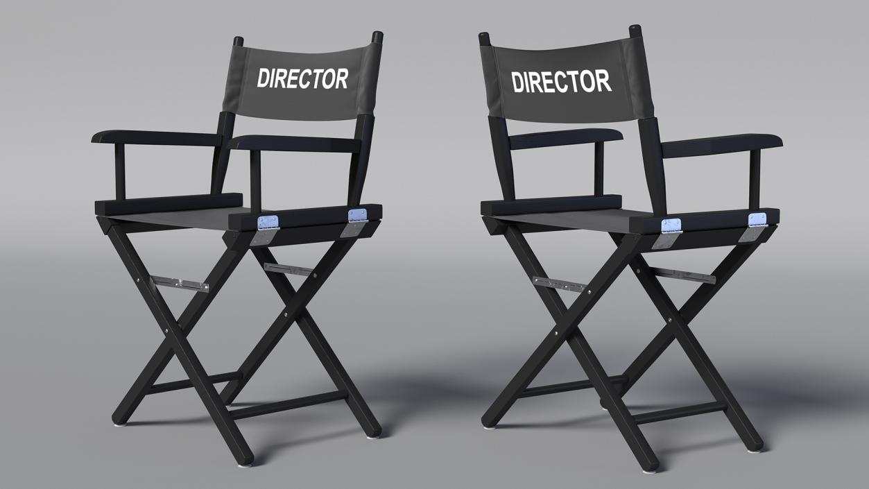 Film Director Chair 3D model