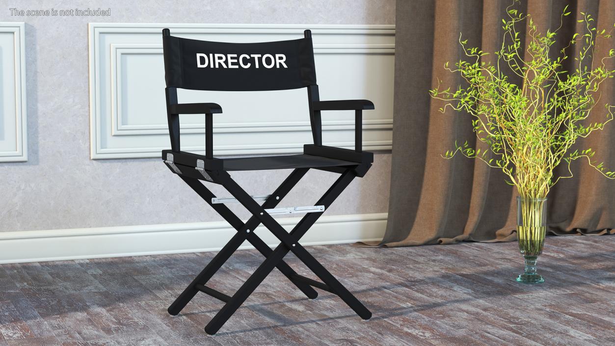 Film Director Chair 3D model