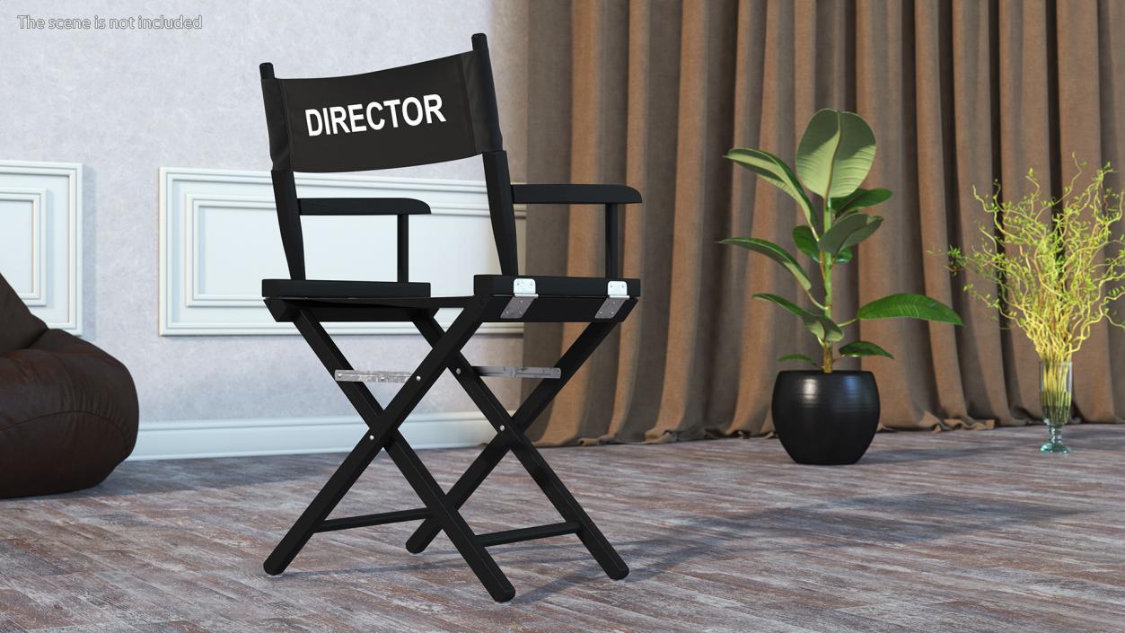 Film Director Chair 3D model