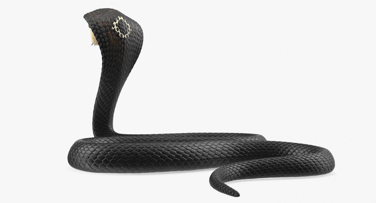 Dark Skin Cobra Rigged 3D