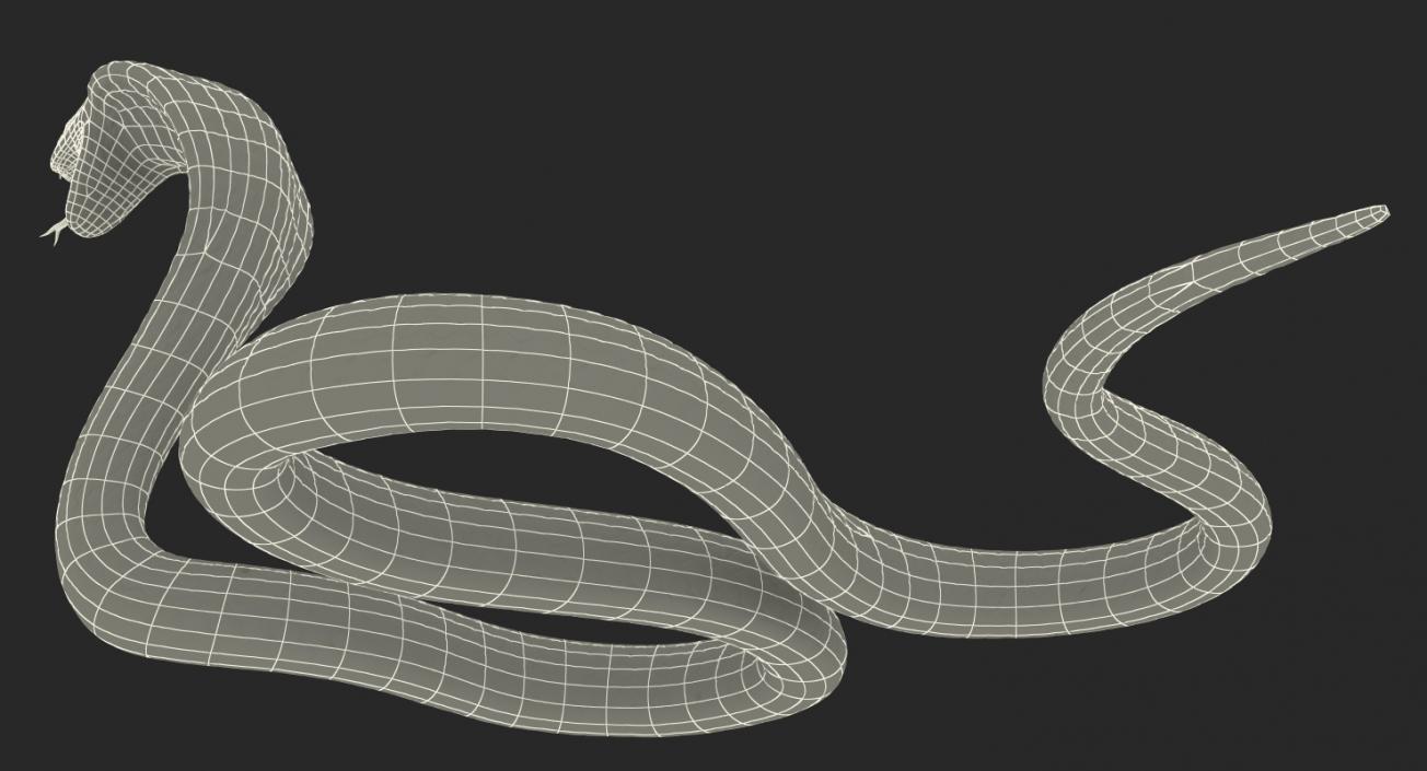 Dark Skin Cobra Rigged 3D