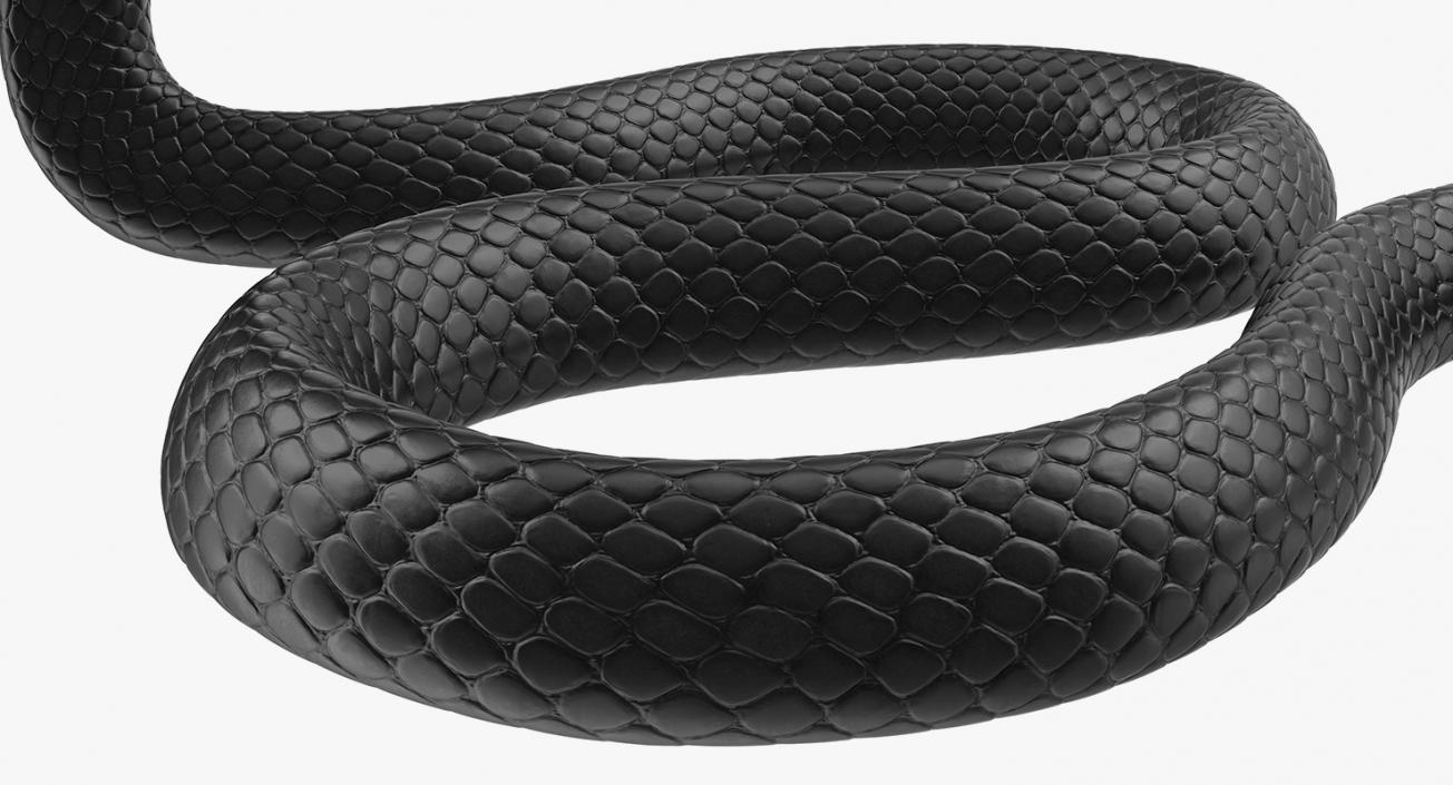 Dark Skin Cobra Rigged 3D