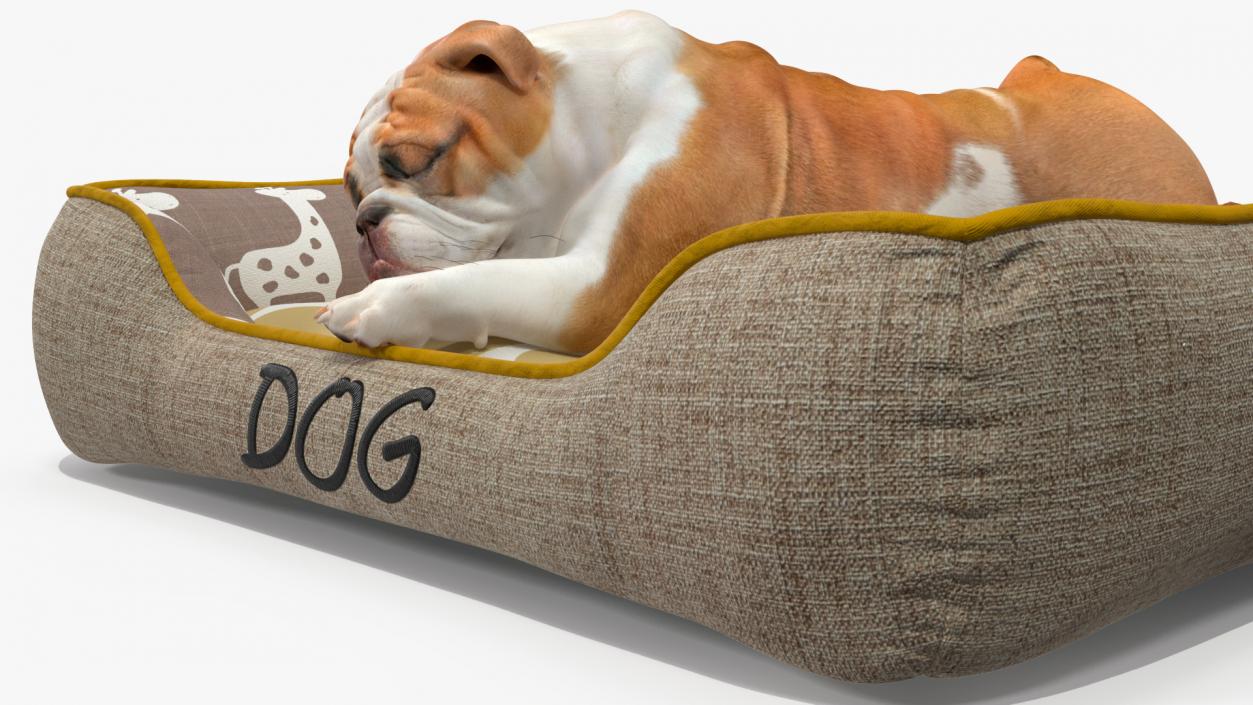 Bulldog Sleep in Pet Bed 3D model