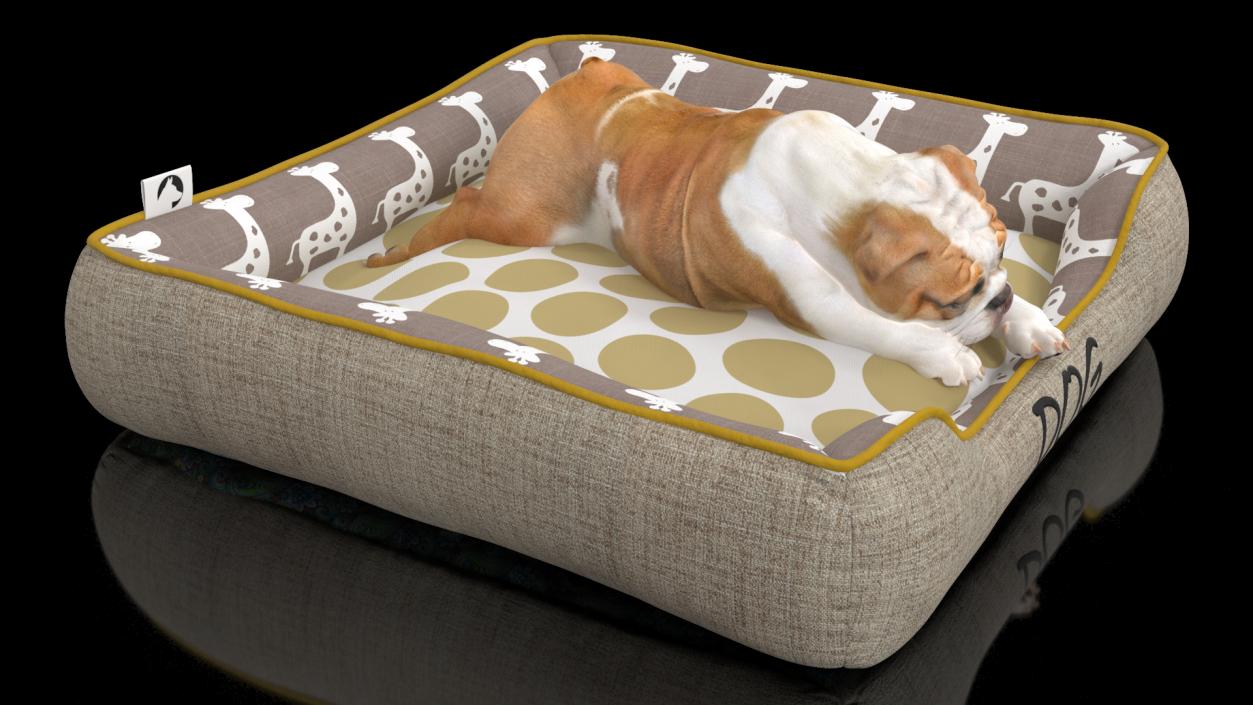 Bulldog Sleep in Pet Bed 3D model