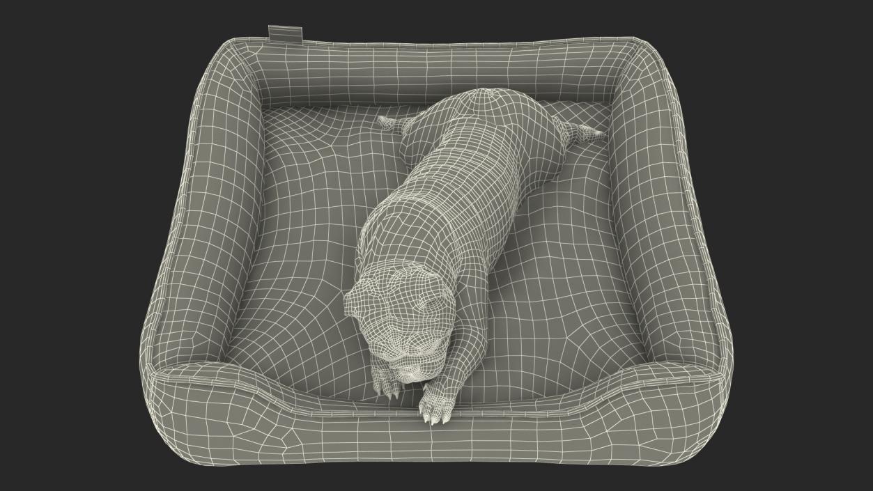 Bulldog Sleep in Pet Bed 3D model