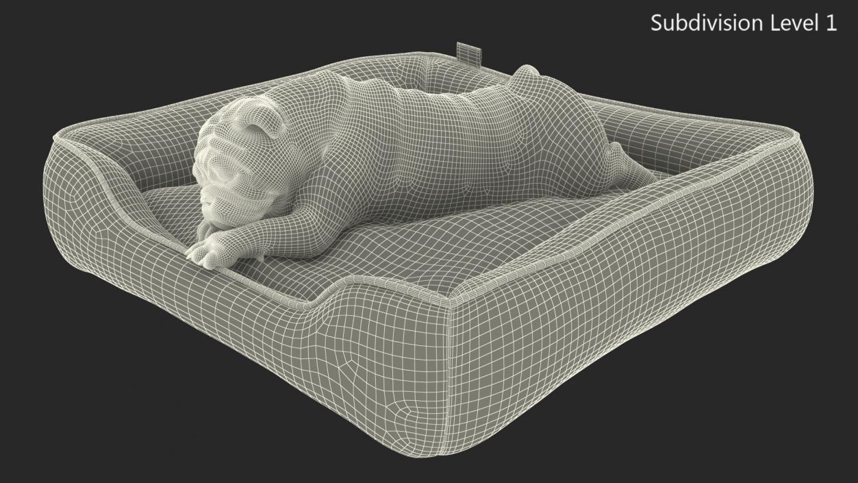 Bulldog Sleep in Pet Bed 3D model