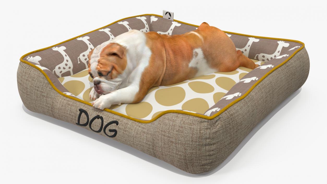 Bulldog Sleep in Pet Bed 3D model