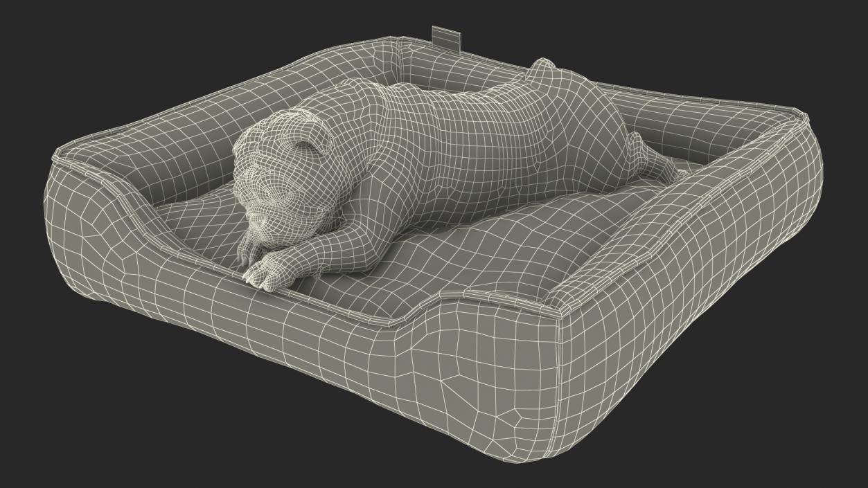 Bulldog Sleep in Pet Bed 3D model