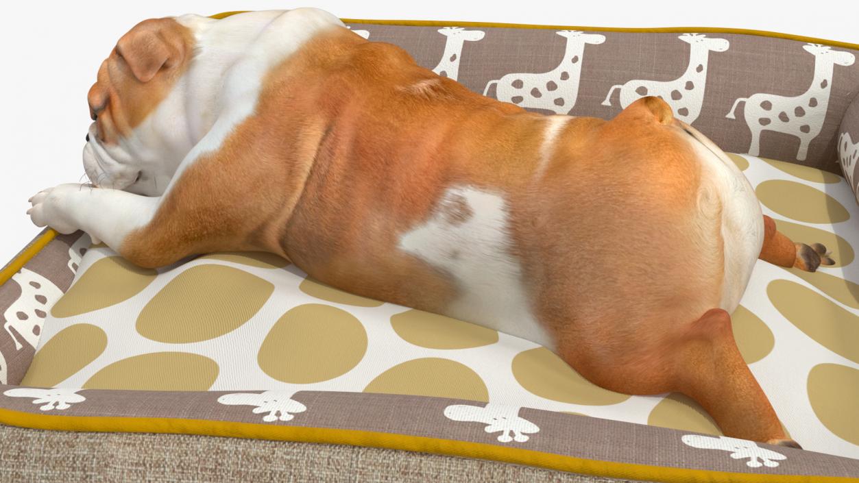 Bulldog Sleep in Pet Bed 3D model