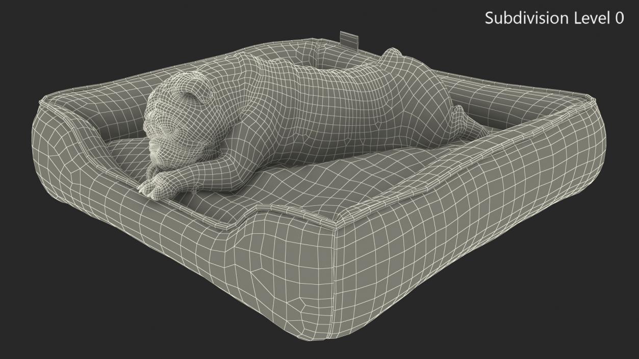 Bulldog Sleep in Pet Bed 3D model