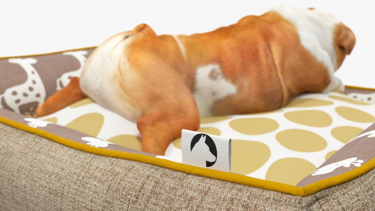 Bulldog Sleep in Pet Bed 3D model