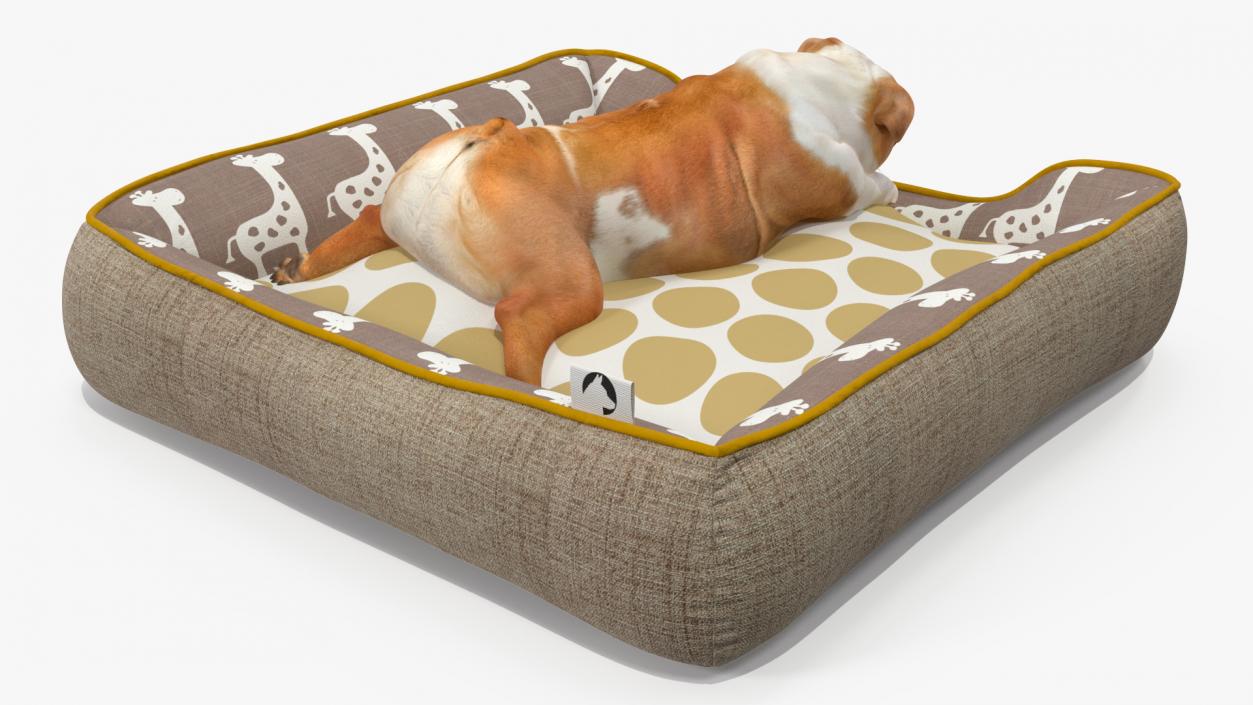 Bulldog Sleep in Pet Bed 3D model