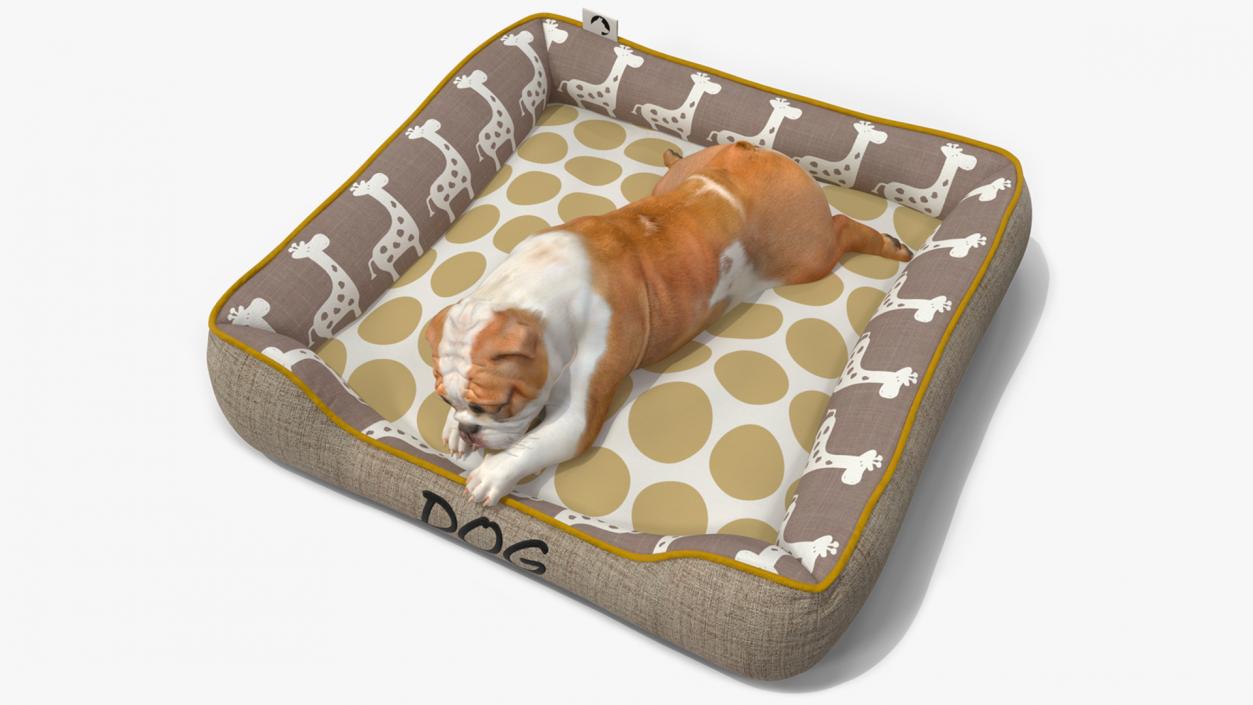 Bulldog Sleep in Pet Bed 3D model