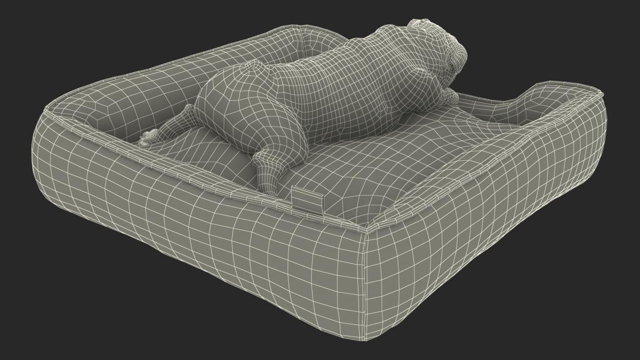 Bulldog Sleep in Pet Bed 3D model