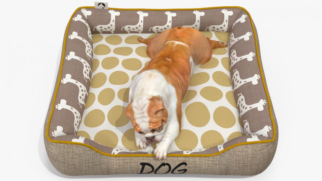 Bulldog Sleep in Pet Bed 3D model