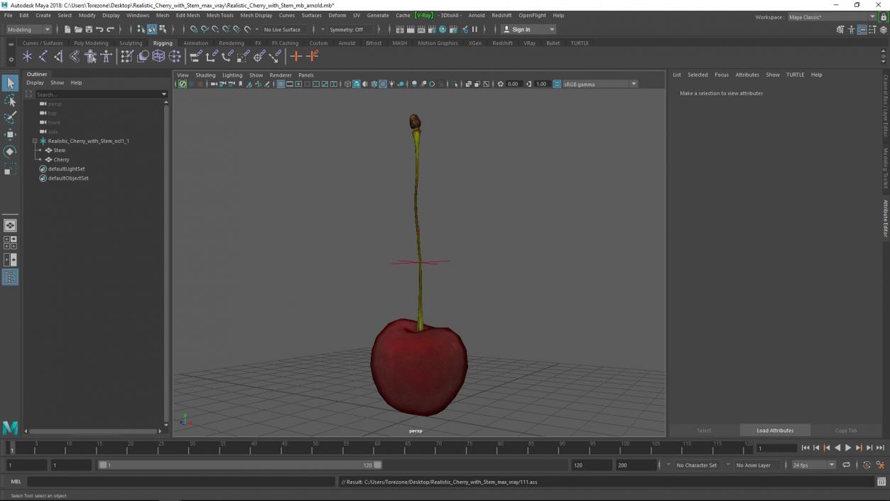 3D Realistic Cherry with Stem