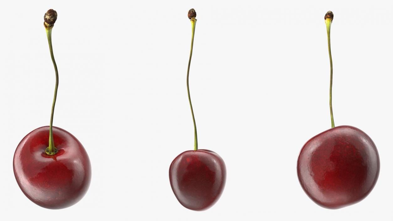 3D Realistic Cherry with Stem