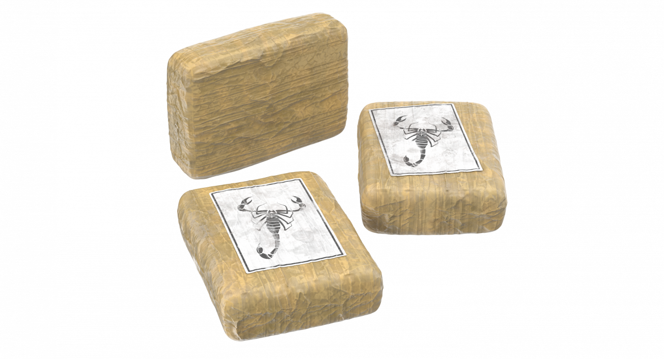 Cocaine Bricks 3D model