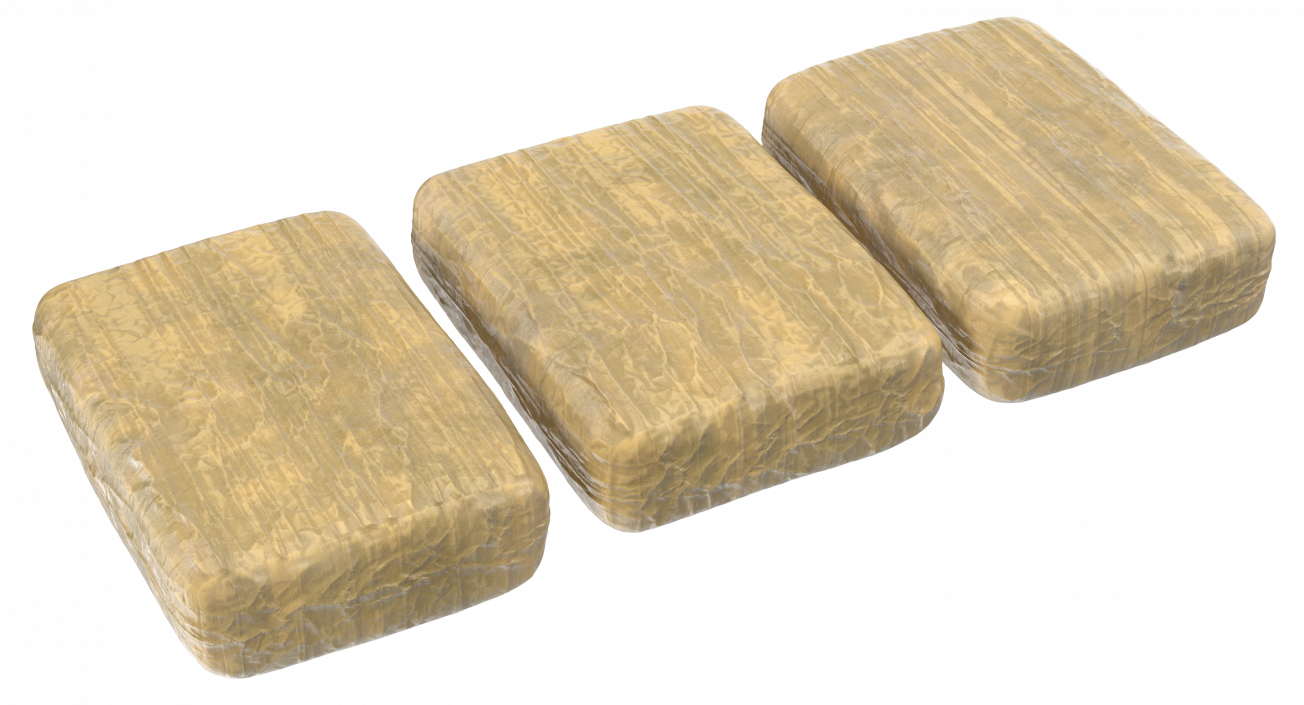 Cocaine Bricks 3D model