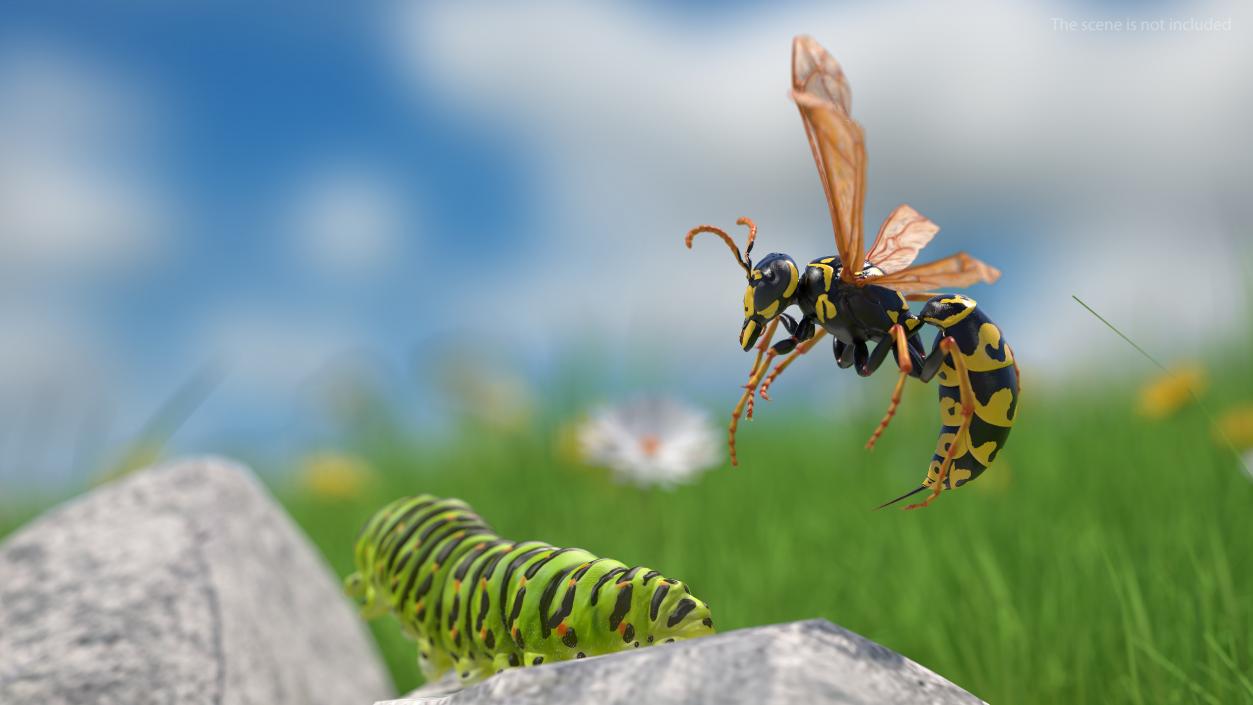 Wasp Attacking Pose 3D model