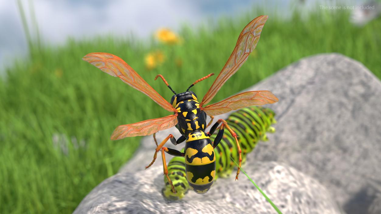 Wasp Attacking Pose 3D model