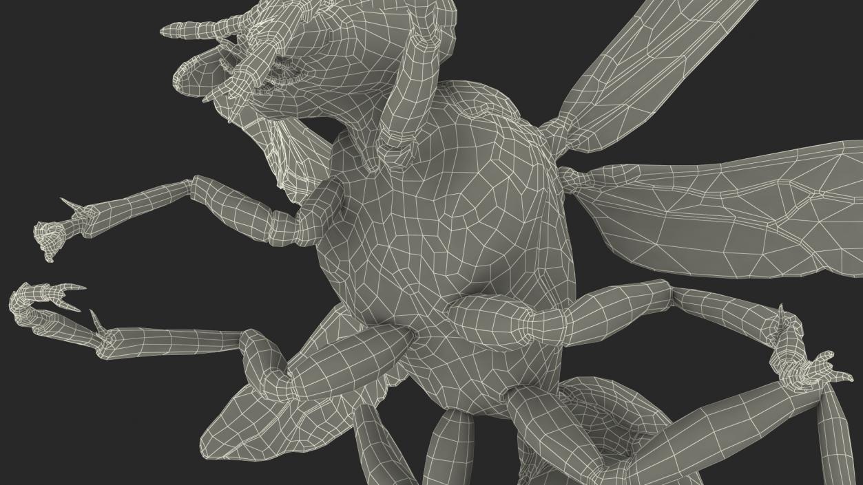 Wasp Attacking Pose 3D model