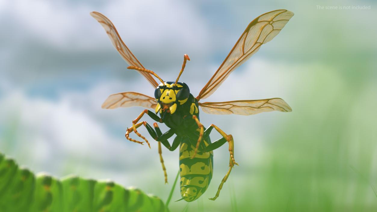 Wasp Attacking Pose 3D model