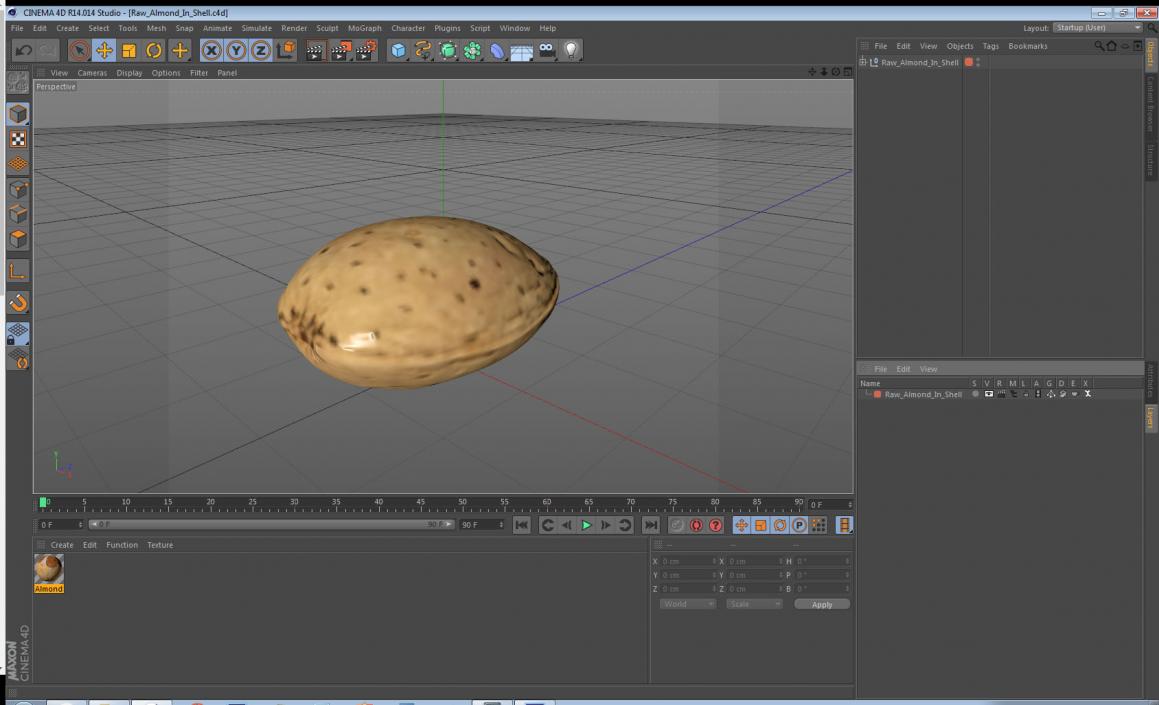 Raw Almond In Shell 3D model