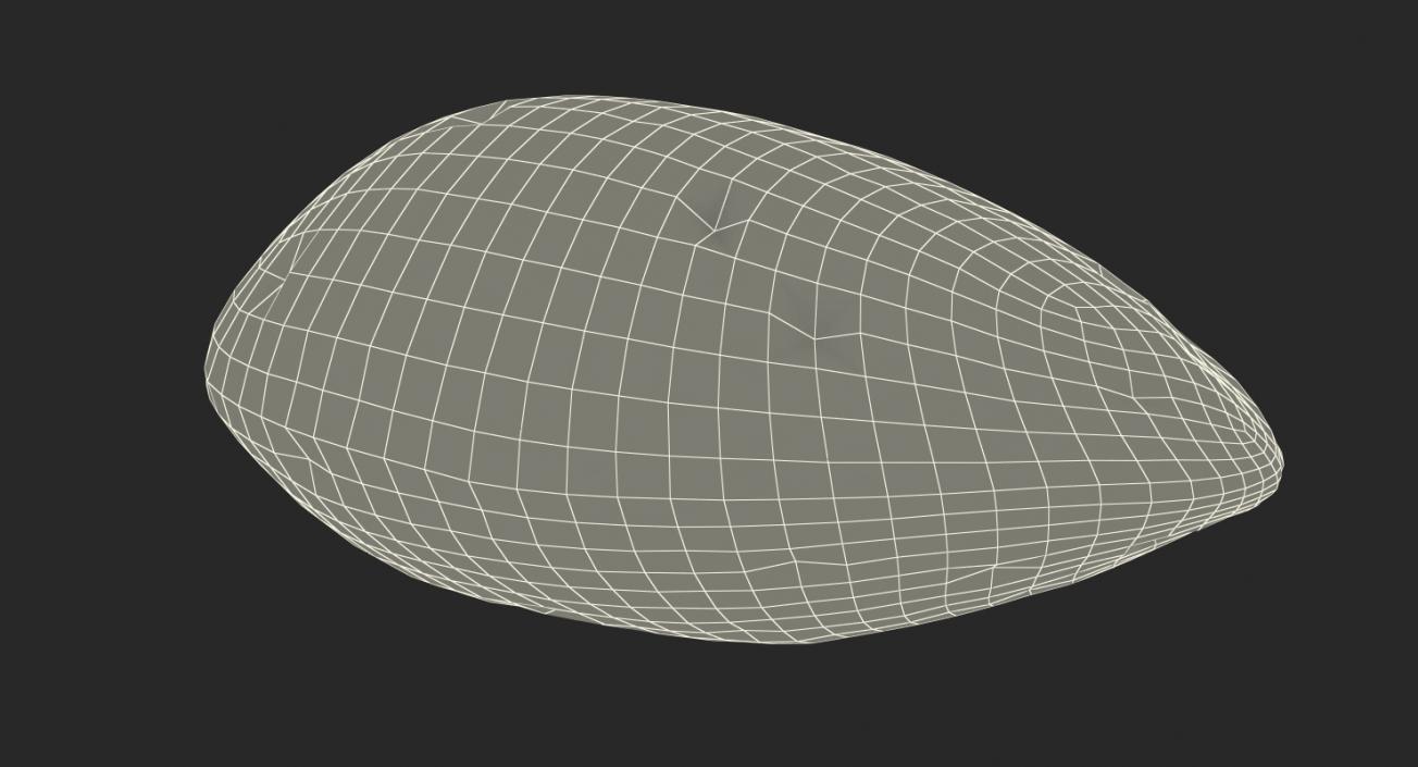 Raw Almond In Shell 3D model