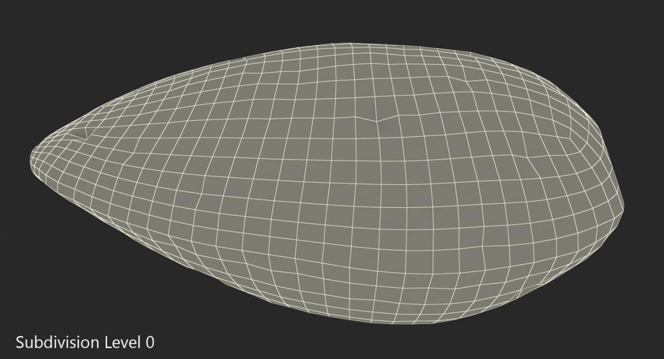 Raw Almond In Shell 3D model