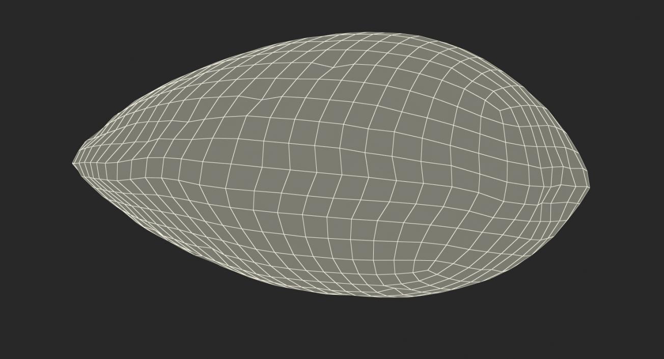 Raw Almond In Shell 3D model