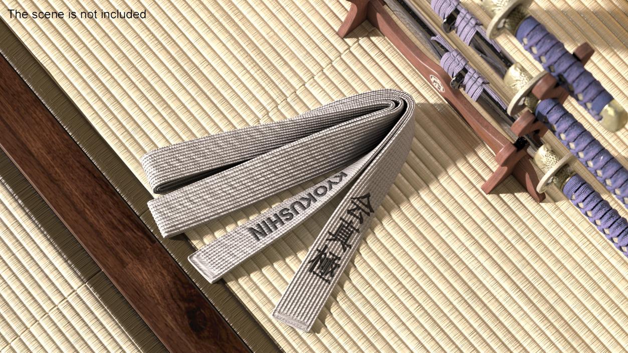 Obi Kyokushin Belt White 3D model