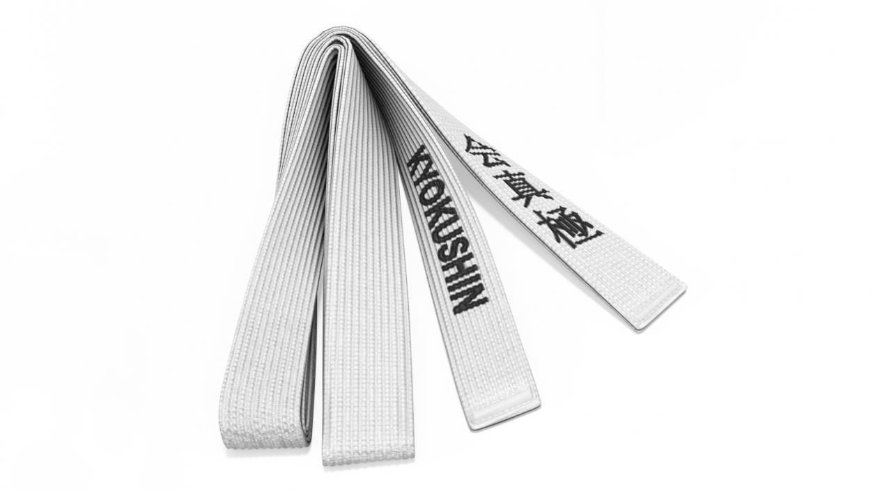 Obi Kyokushin Belt White 3D model