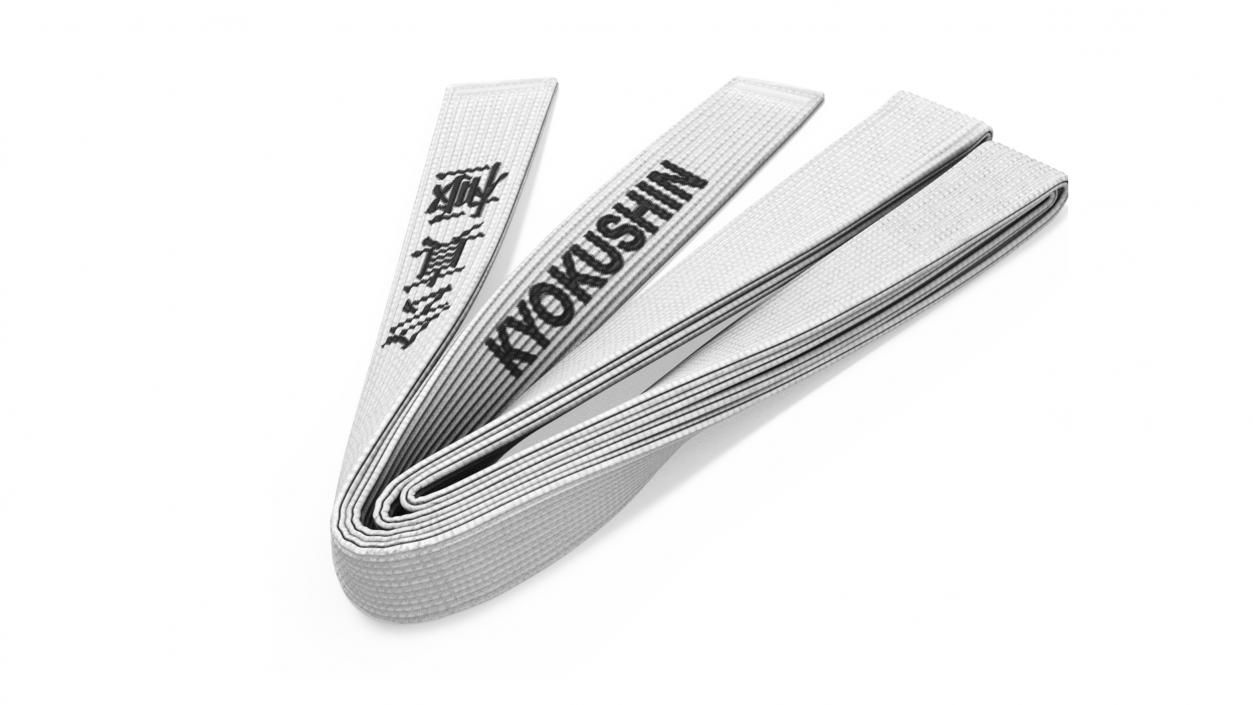 Obi Kyokushin Belt White 3D model