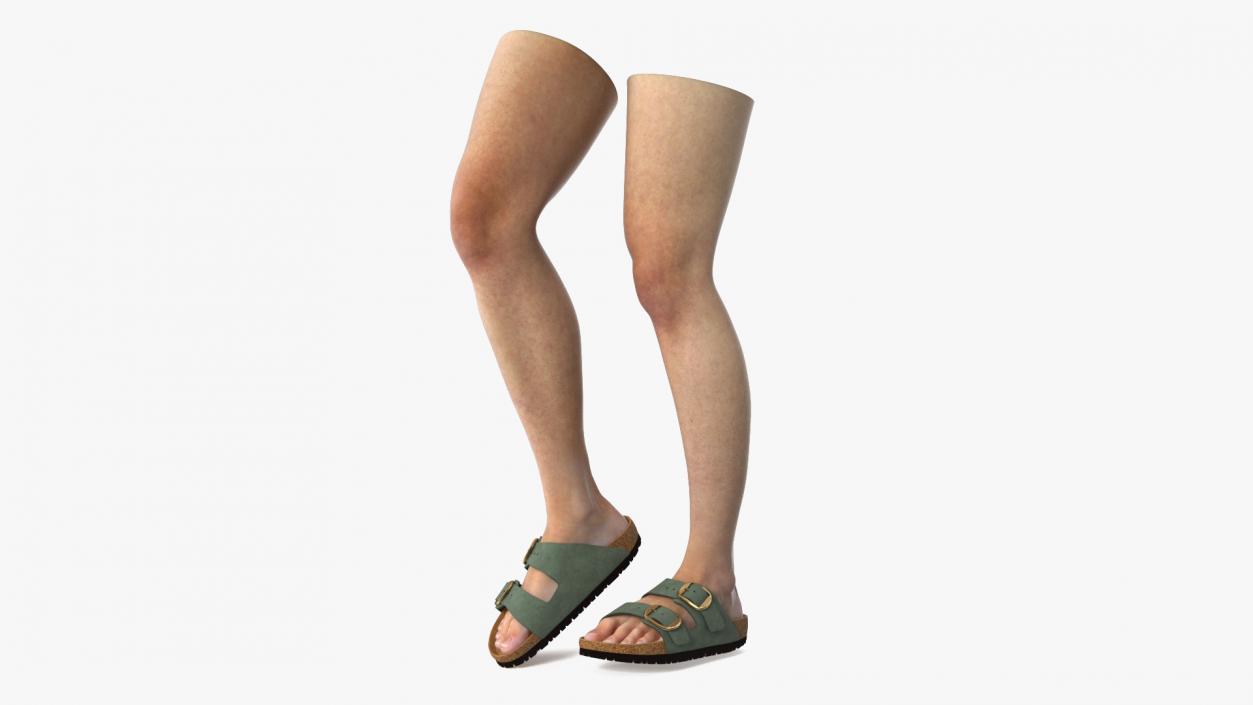 Female Legs in Flip-Flops 2 3D