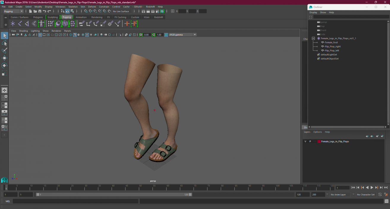 Female Legs in Flip-Flops 2 3D