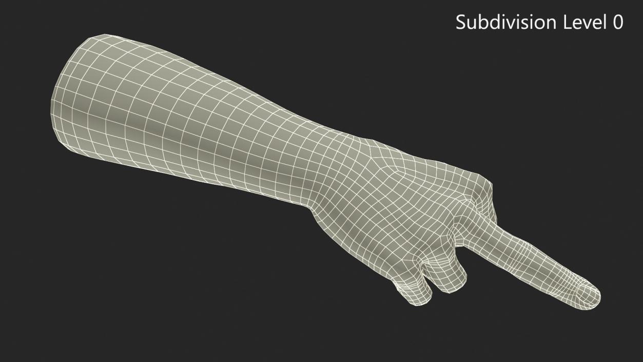 3D Hand of Dark Skinned Man Middle Finger Sign model