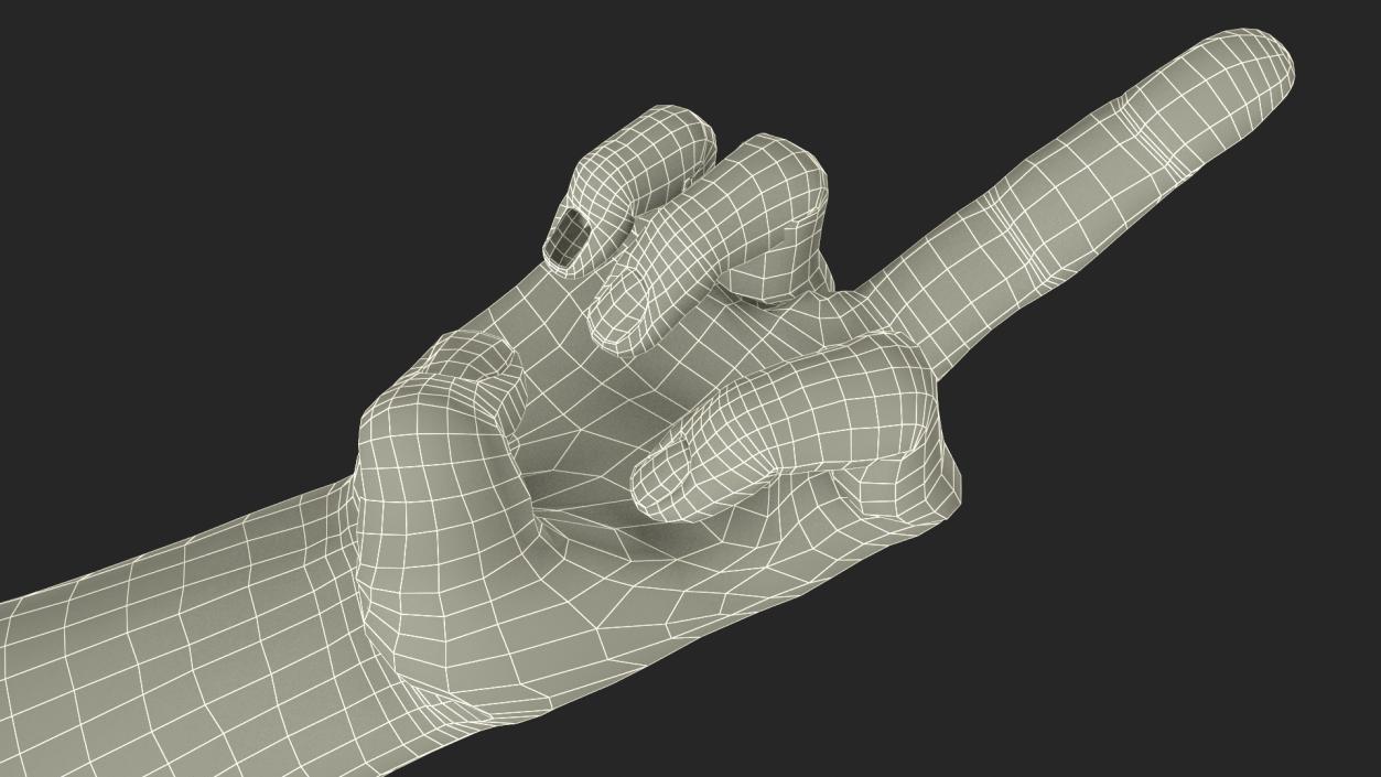 3D Hand of Dark Skinned Man Middle Finger Sign model