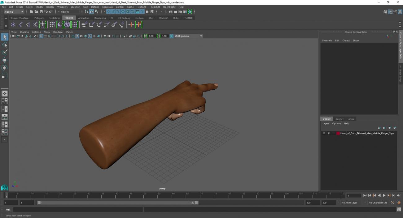 3D Hand of Dark Skinned Man Middle Finger Sign model