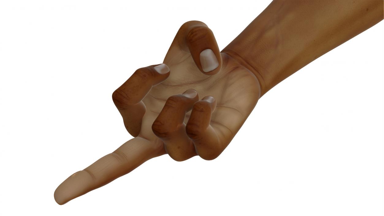 3D Hand of Dark Skinned Man Middle Finger Sign model