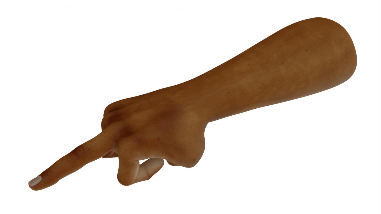 3D Hand of Dark Skinned Man Middle Finger Sign model