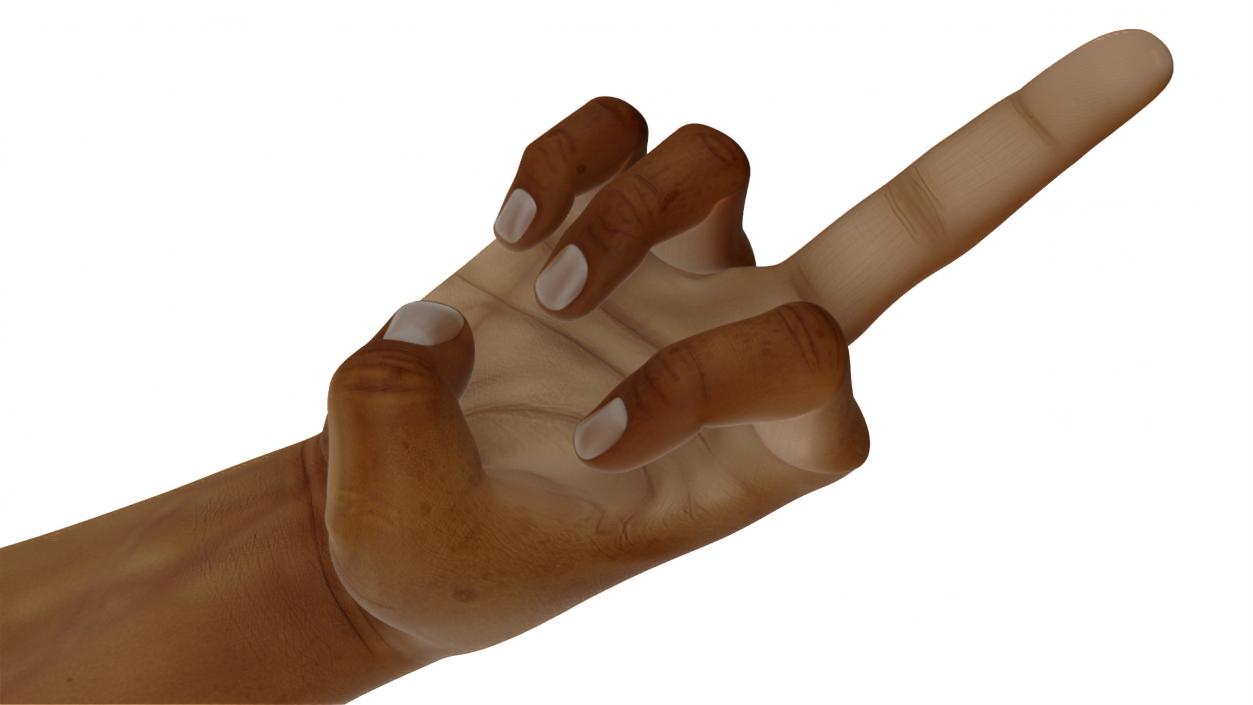 3D Hand of Dark Skinned Man Middle Finger Sign model