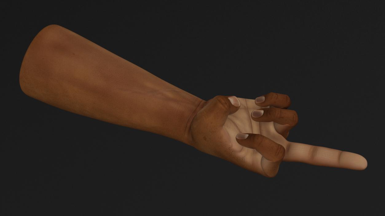 3D Hand of Dark Skinned Man Middle Finger Sign model