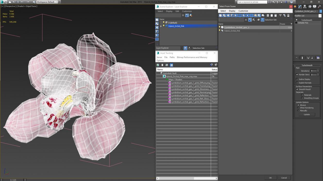 3D Hybrid Orchid Pink model