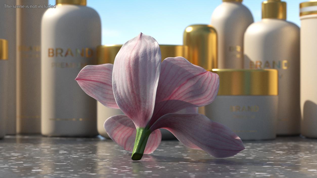 3D Hybrid Orchid Pink model