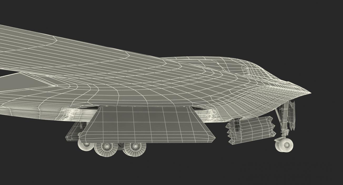 Stealth Bomber B-2 Spirit Rigged 3D