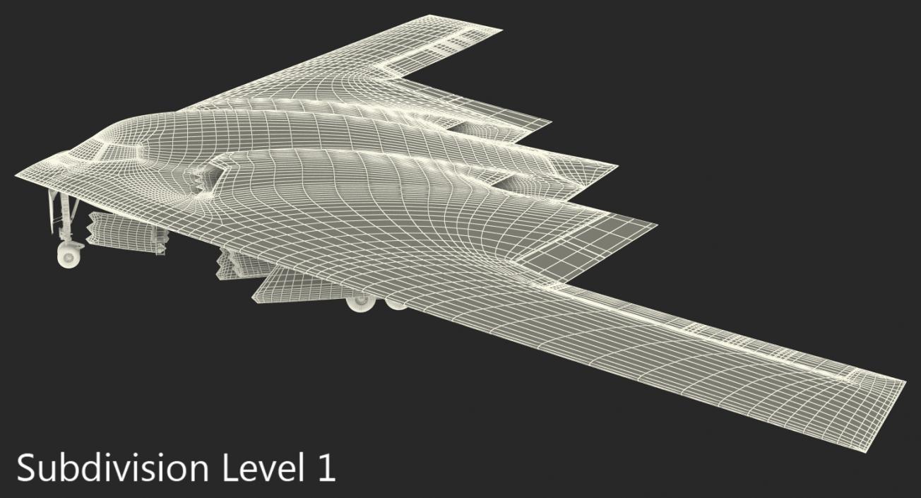 Stealth Bomber B-2 Spirit Rigged 3D