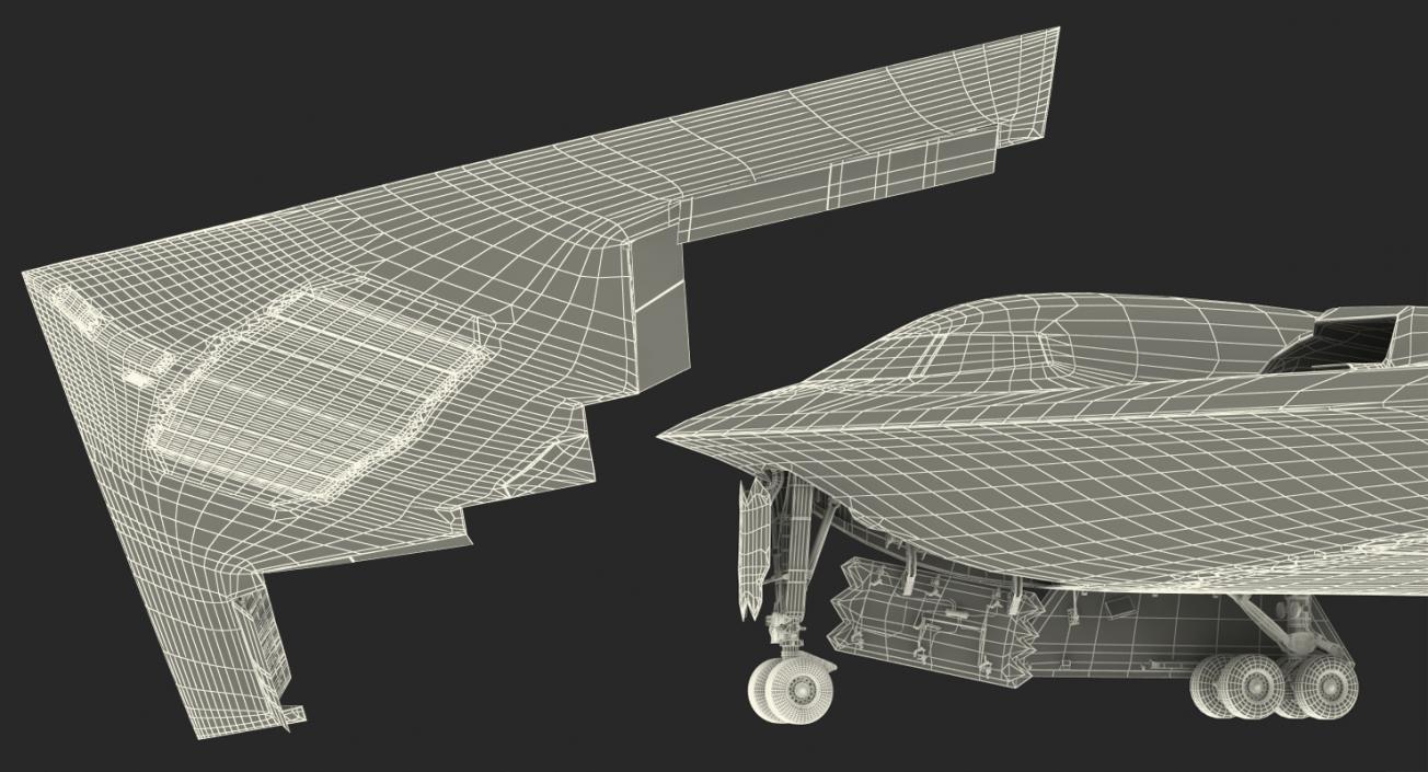 Stealth Bomber B-2 Spirit Rigged 3D