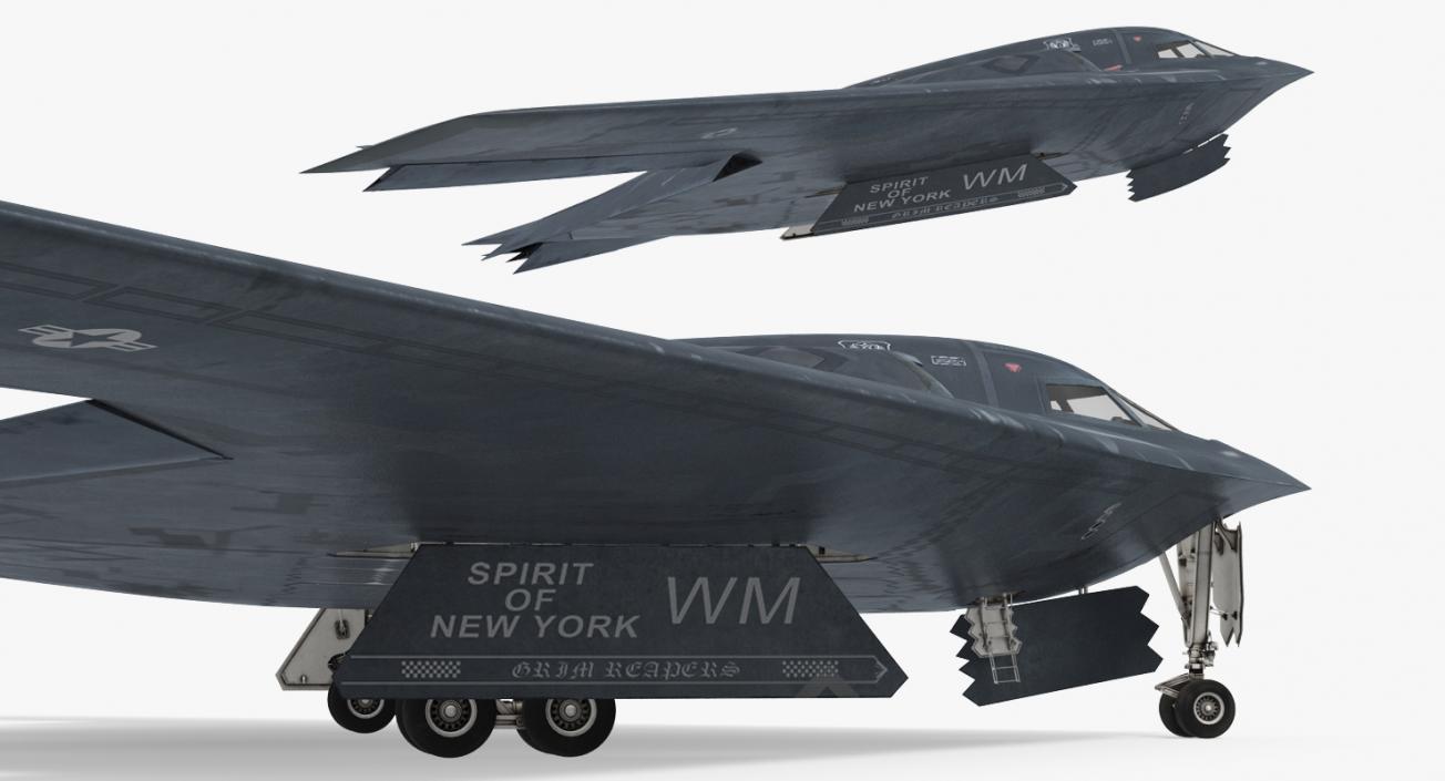 Stealth Bomber B-2 Spirit Rigged 3D