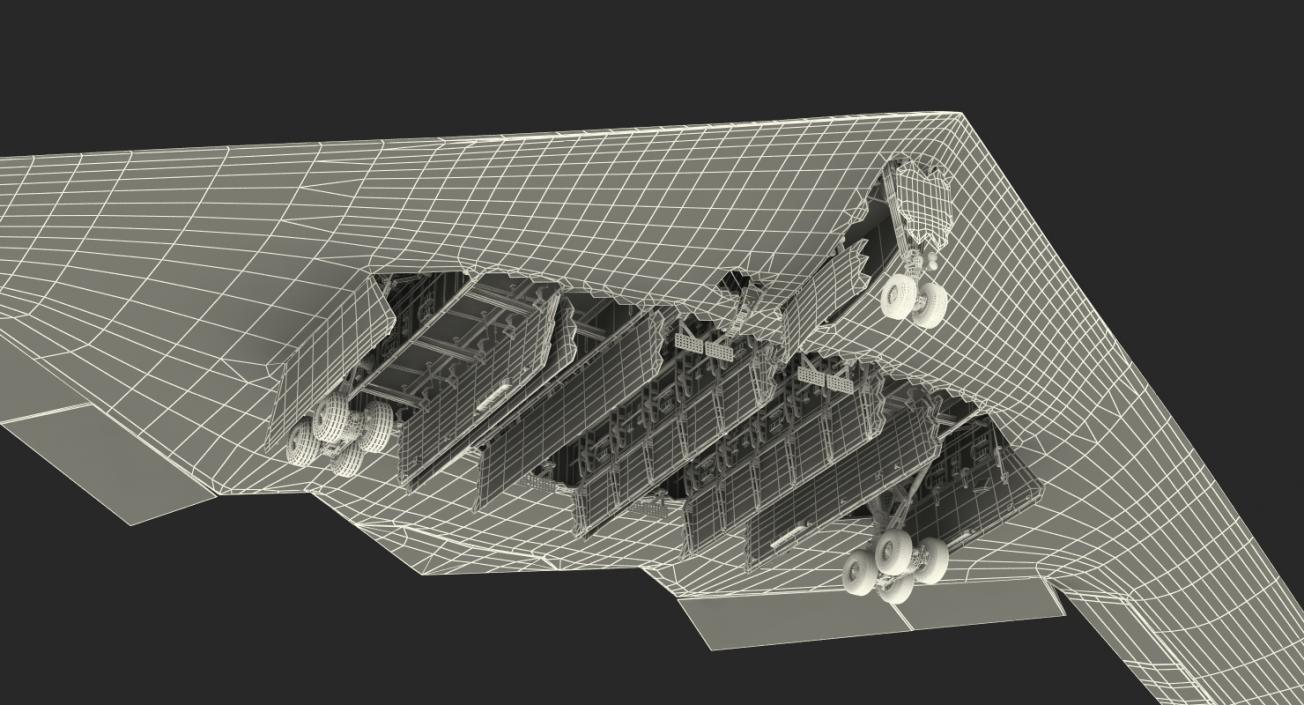 Stealth Bomber B-2 Spirit Rigged 3D